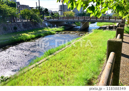 芦屋川　飛び石のある風景　業平さくら通り　兵庫県芦屋市大正橋付近 118388349
