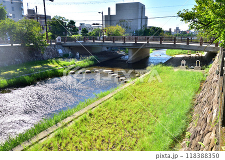 芦屋川 飛び石のある風景 業平さくら通り 兵庫県芦屋市大正橋付近 芦屋川 飛び石のある風景 業平さくら通り 兵庫県芦屋市大正橋付近 118388350
