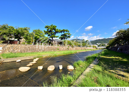 芦屋川　飛び石のある風景　業平さくら通り　兵庫県芦屋市大正橋付近 118388355