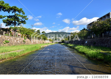 芦屋川 飛び石のある風景 業平さくら通り 兵庫県芦屋市大正橋付近 芦屋川 飛び石のある風景 業平さくら通り 兵庫県芦屋市大正橋付近 118388359