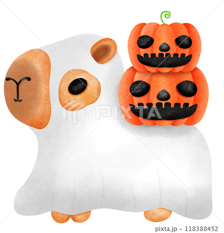 Little ghost Capybara controls white clothes pumpkins ghost on the back Little ghost Capybara controls white clothes pumpkins ghost on the back 118388452
