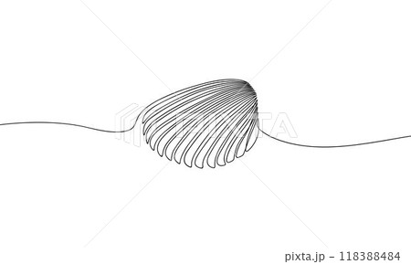 Sea shell in continuous line art drawing style. Hand drawn vector illustration. Minimalist black linear sketch isolated on light background. 118388484