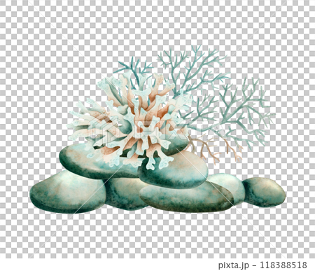 Watercolor corals growing on reef rocks illustration isolated on white. Tropical ocean or sea animal clipart in simple monochrome style. Underwater marine nature in blue green colors Watercolor corals growing on reef rocks illustration isolated on white. Tropical ocean or sea animal clipart in simple monochrome style. Underwater marine nature in blue green colors 118388518
