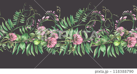 Clover sprig with pink flowers, leaves and Mouse pea climbing plant. Wildflowers seamless border, pattern. Watercolor Hand drawn illustration. Meadow field wild herbs Clipart isolated dark background  118388790