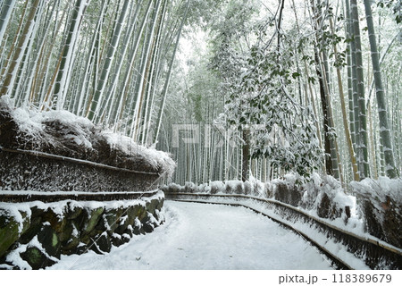 雪降る竹林の小道 嵯峨野 雪降る竹林の小道 嵯峨野 118389679