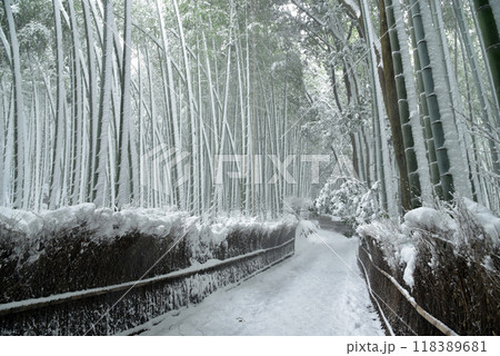 雪の降り積もる竹林の小道　嵯峨野 118389681