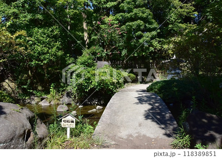 神奈川県　平塚市総合公園の日本庭園の切石橋 118389851