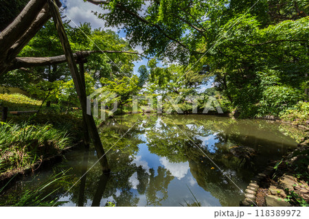 肥後細川庭園 2024(夏)の風景20 118389972
