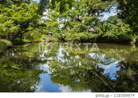 肥後細川庭園 2024(夏)の風景2 肥後細川庭園 2024(夏)の風景2 118389974