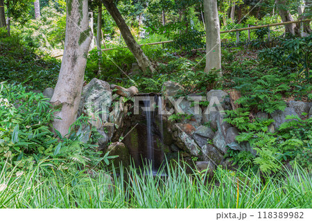 肥後細川庭園 2024(夏)の風景10 118389982
