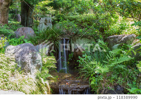肥後細川庭園 2024(夏)の風景17 118389990