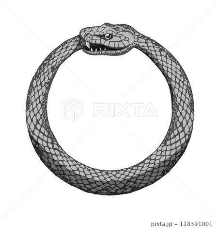 Ouroboros. Snake eats tail, mythology eternity esoteric mystic symbol abstract serpent dragon circle round ring infinity cycle spiritual magic concept ingenious vector illustration 118391001