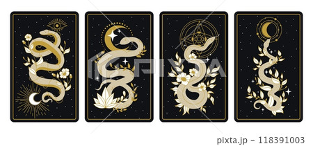Mystical snakes cards. Magic snake bohemian tarot card, mystic serpent astrology esoteric ornament posters spiritual celestial witch elements print ingenious vector illustration 118391003