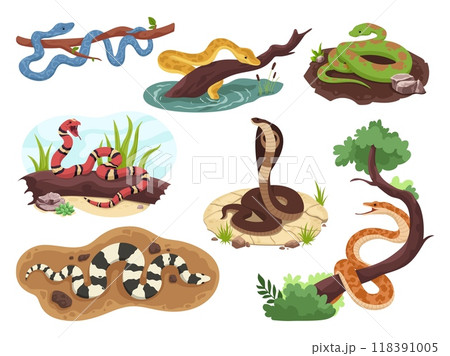 Snakes habitat. Snake on tree branch or in water wild nature, exotic reptile tropical serpent jungle danger creature anaconda python poisonous viper, ingenious vector illustration 118391005