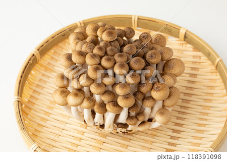 美味しそうなしめじ01 118391098