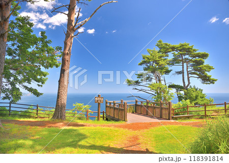 東北・鵜ノ巣断崖・断崖絶壁が一望できるバリアフリーの展望台・岩手県田野畑村(1) 118391814