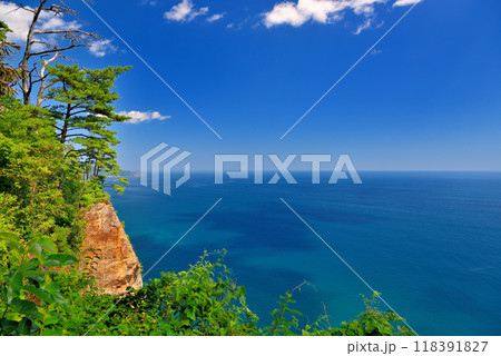 東北・鵜ノ巣断崖・ウッドチップが敷かれた断崖上の園路から眺める絶景のイメージ・岩手県田野畑村(1) 118391827