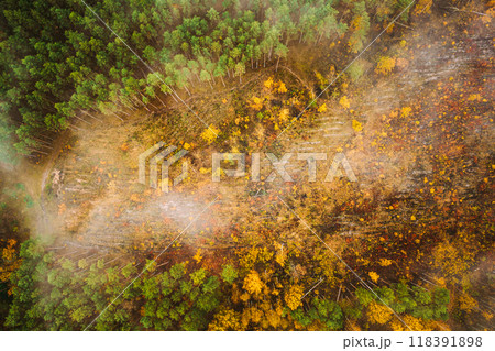 Aerial view of a logging zone cuts through forest. Top view of bush fire and smoke in deforestation zone. Wild open fire destroys grass. Nature in danger. Ecological problem air pollution. Drone view 118391898