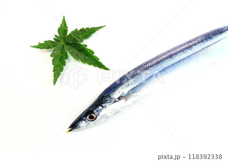 サンマ 秋刀魚 さんま サンマ 秋刀魚 さんま 118392338
