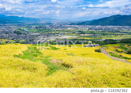 秋の信州　姨捨の棚田と千曲市街 118392362