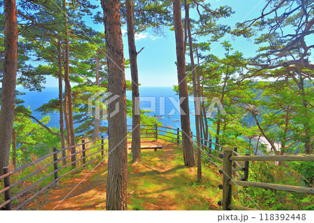 東北・鵜ノ巣断崖・断崖に突き出た位置にある、御殿崎を望む南側の展望台の眺め・岩手県田野畑村(1) 118392448