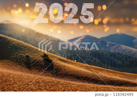ハッピーニュイヤー　2025 118392495