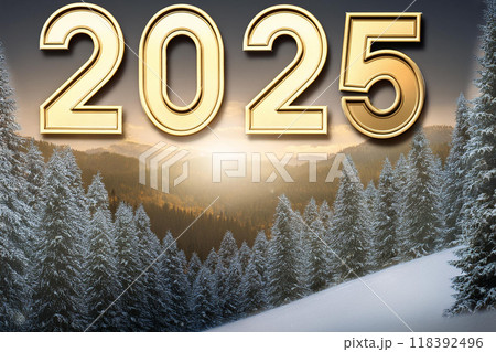 ハッピーニュイヤー　2025 118392496