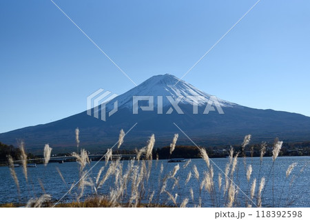 秋の富士山とすすき　河口湖 118392598