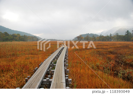 群馬県・尾瀬ヶ原・草紅葉の朝霧かかる湿原の木道 群馬県・尾瀬ヶ原・草紅葉の朝霧かかる湿原の木道 118393049
