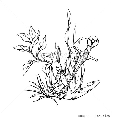 Marine life, sea ocean underwater creatures fish, shells algae seaweed, Ink and pen sketch hand drawn. Composition illustration, stylized, isolated on white. For zoo shop, aquarium, cosmetics, resort 118393120