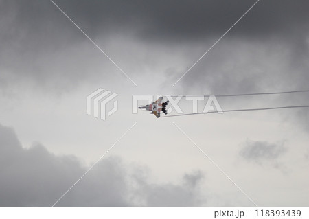 千歳航空祭 118393439