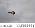 千歳航空祭 118393451