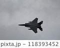 千歳航空祭 118393452