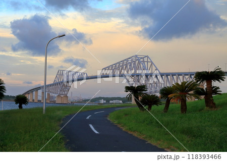 東京ゲートブリッジ 東京ゲートブリッジ 118393466
