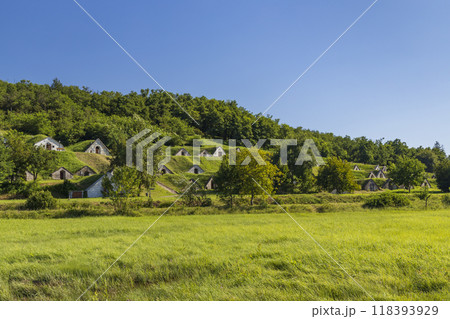Gombos-hegyi pincesor in Hercegkut, UNESCO site, Great Plain, North Hungary Gombos-hegyi pincesor in Hercegkut, UNESCO site, Great Plain, North Hungary 118393929