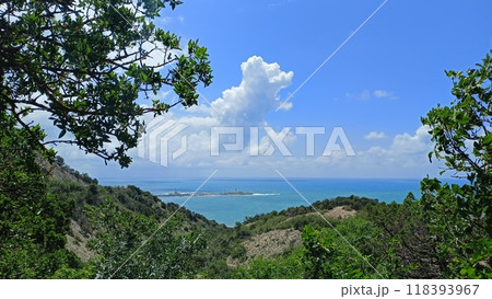 Sea view from the cliff. A reserve with old relict pines. Headland Sea view from the cliff. A reserve with old relict pines. Headland 118393967