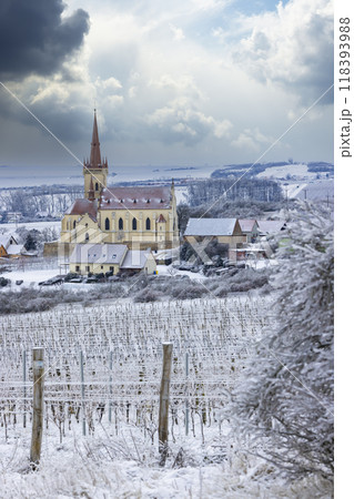 Konice church with vineyard, Znojmo region, Southern Moravia, Czech Republic 118393988