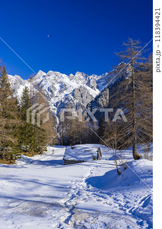 Winter landscape near Vrsic, Triglavski national park, Slovenia 118394421