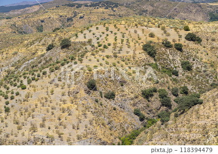 Sierra Nevada national park, Andalusia, Spain 118394479
