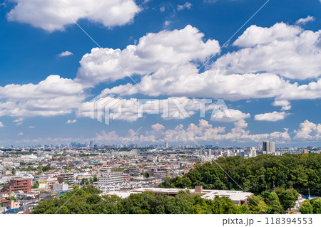 《東京都》夏空の都市風景 《東京都》夏空の都市風景 118394553