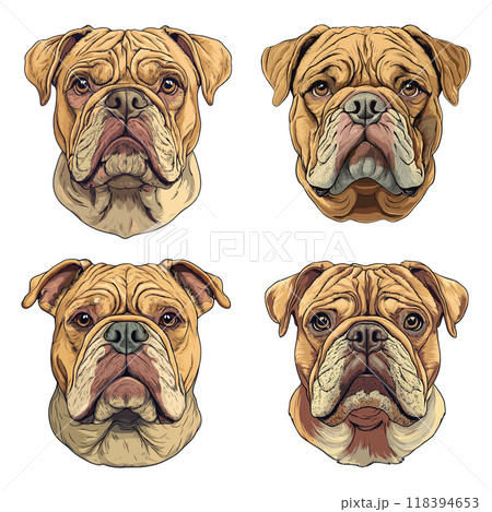 Bulldogs heads. Dog portraits pet mascot, funny canine muzzle domestic animal portrait emblem, set vector illustration 118394653