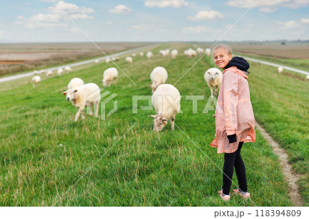 Kid walk have fun with many grazing sheep herd scene dyke green field pasture meadow grassland at North Sea coast East Friesland Lower Saxony Germany. Scenic german rural countryside landscape view 118394809