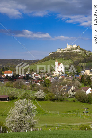 Falkenstein ruins and town with vineyard, Lower Austria, Austria 118395240