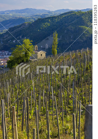 Grand cru vineyard and Chapel of Saint Christopher, Tain l'Hermitage, Rhone-Alpes, France 118395263