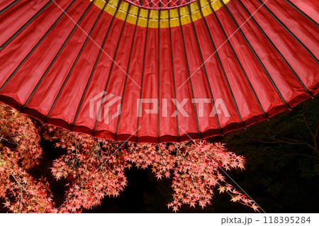紅葉の庭園 三十路苑 長崎県雲仙市 紅葉の庭園 三十路苑 長崎県雲仙市 118395284