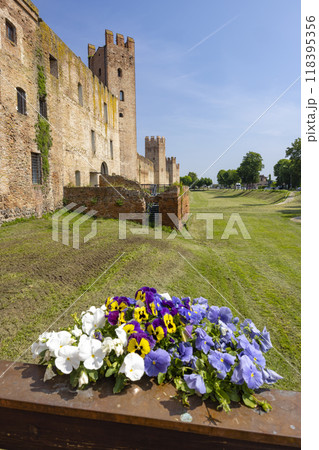 Ancient walls of Montagnana, Padova province, Veneto, Italy 118395356