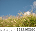 爽やかな青空とすすきの草原 118395390