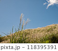 爽やかな青空とすすき 118395391