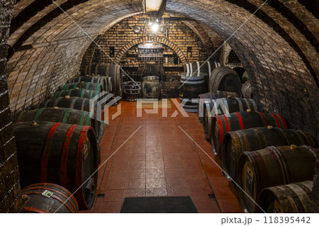 Wine cellars with barrels in Ivan, Southern Moravia, Czech Republic 118395442