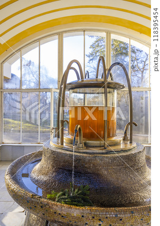 New spring in Frantiskovy lazne spa, UNESCO World Heritage Site, Western Bohemia, Czech Republic New spring in Frantiskovy lazne spa, UNESCO World Heritage Site, Western Bohemia, Czech Republic 118395454